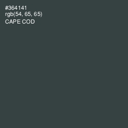 #364141 - Cape Cod Color Image